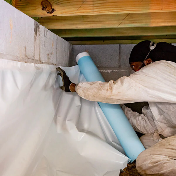 Professional crawl space sealing service