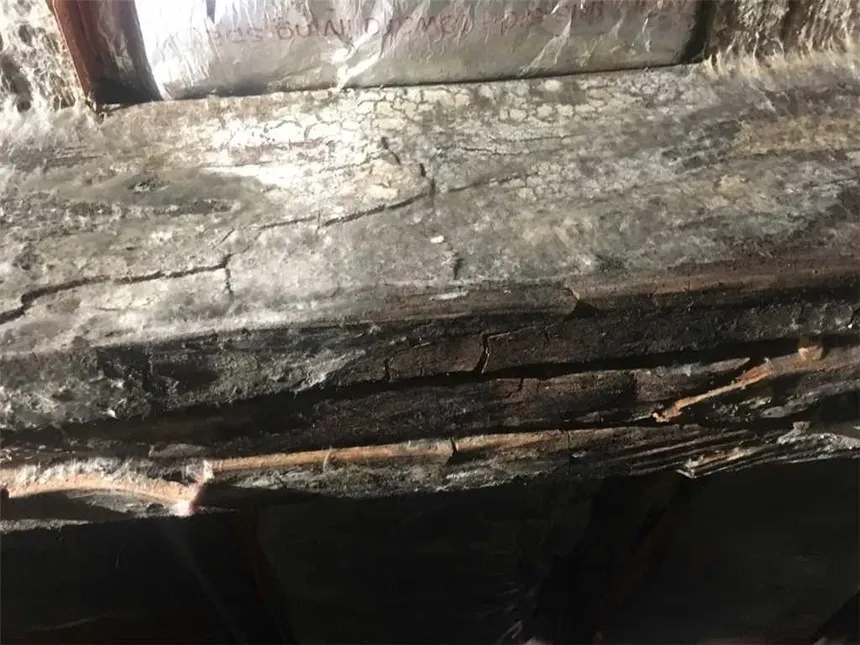 Old Rotten Wood Support