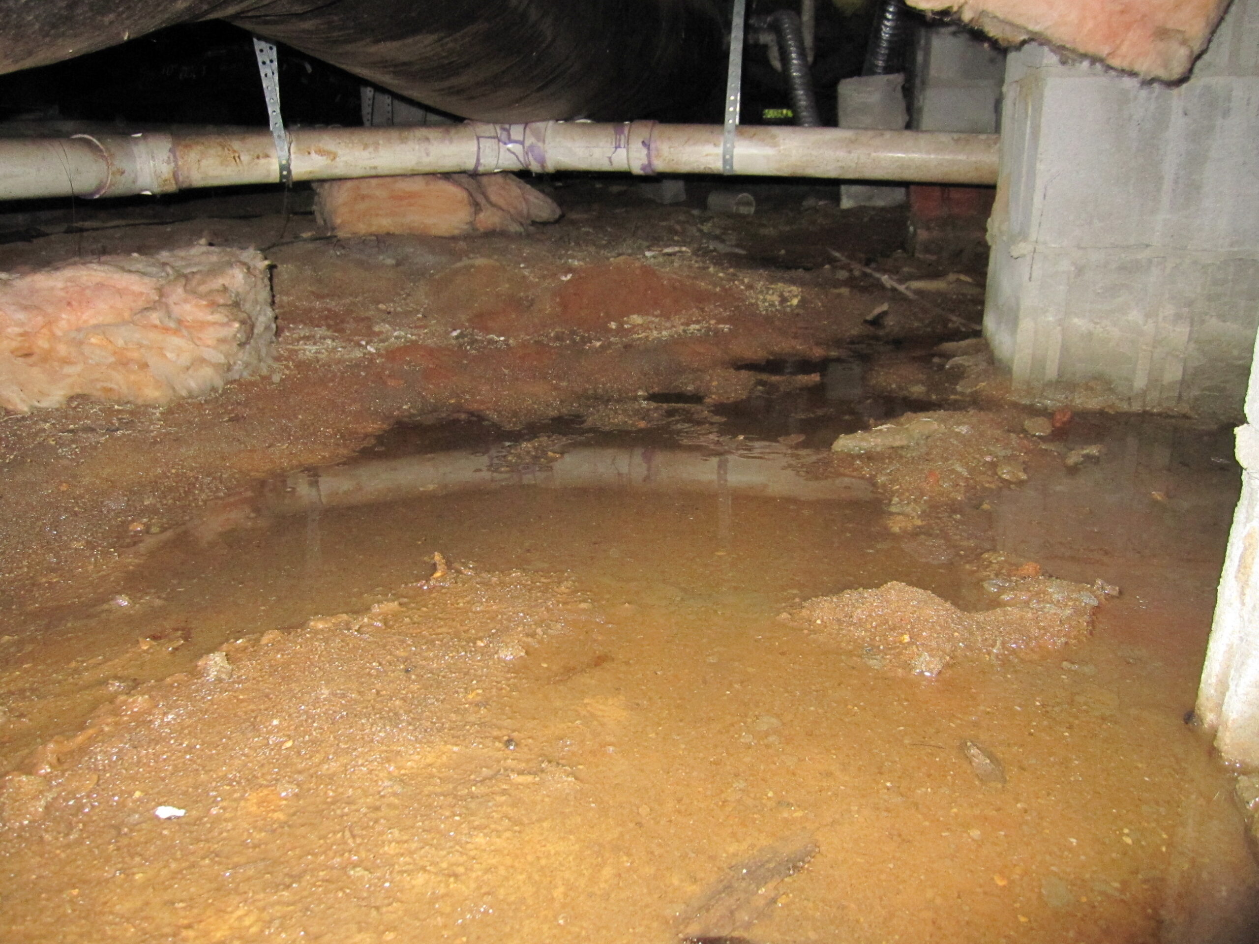 Standing water in a crawlspace causing potential moisture damage and mold risks.